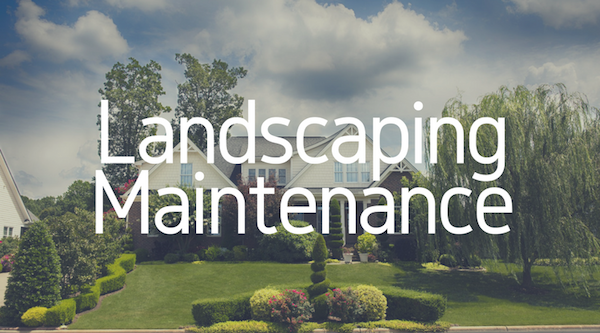 landscaping services